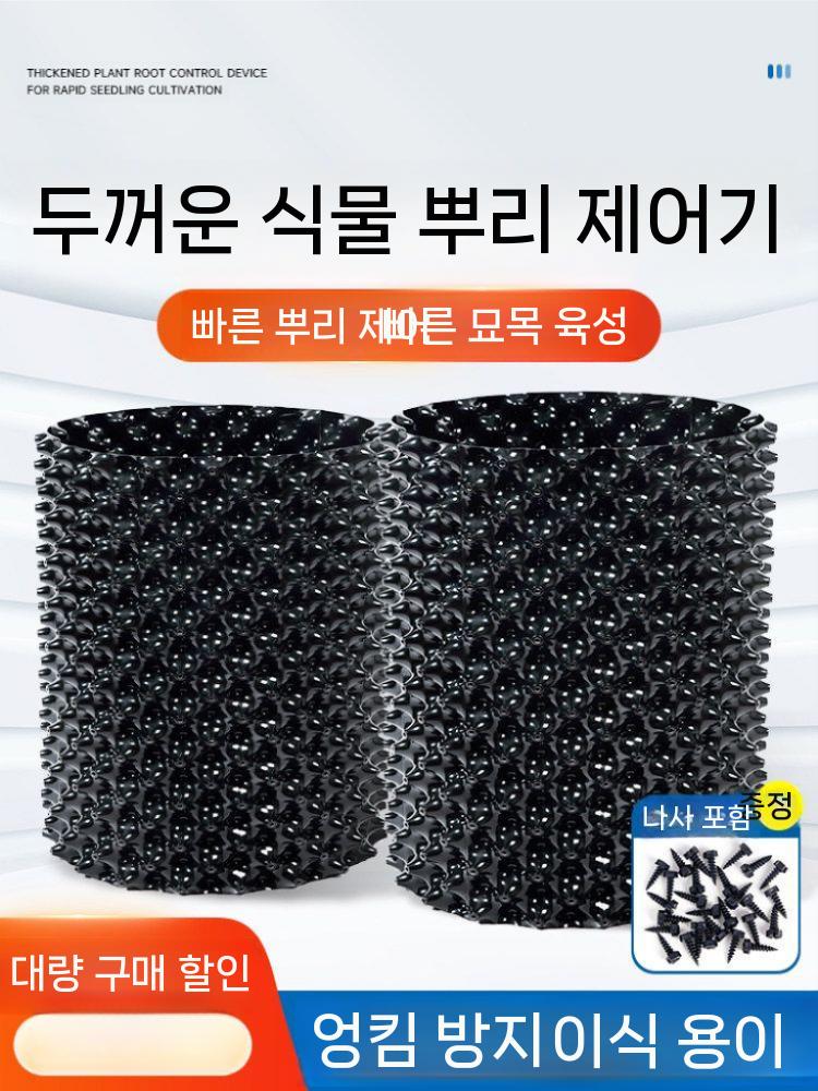 블루베리 묘목 화분 플라스틱 결실주 유실수 모종 20cmx25m - 상세 이미지 3