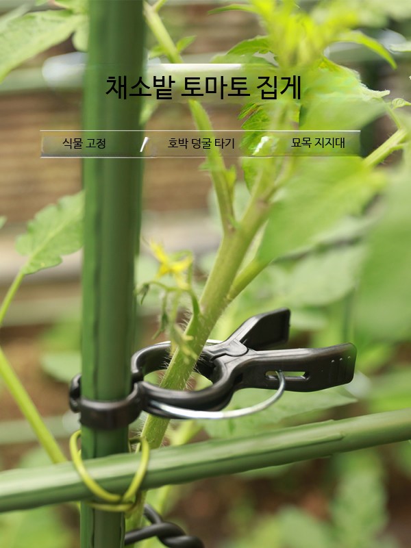 포도 유인집게 작물집게 자재 결속기 덩굴 - 상세 이미지 3