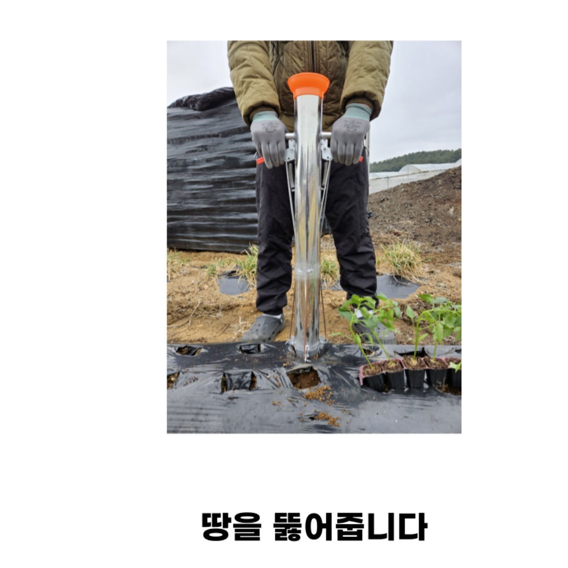 참깨 들깨모종심는기계 들깨씨앗파종기 다목적파종기 - 상세 이미지 3
