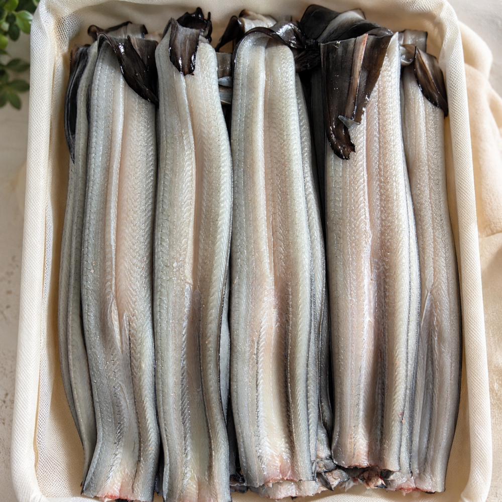 국산 민물장어 자포니카 장어 1kg 손질후 600g - 상품 이미지