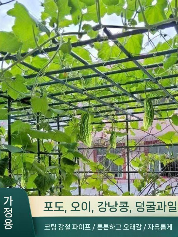 덩굴 지지대 호박 오이 지주대 장미 옥상 농업용 (06/23 시작) 0.9mx0.9mx0.9m 플라스틱 코팅 강관 - 상세 이미지 3