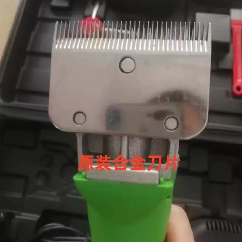 말 털 바리깡 애견 이발기 전동 면도 고성능 면도기 - 상세 이미지 5