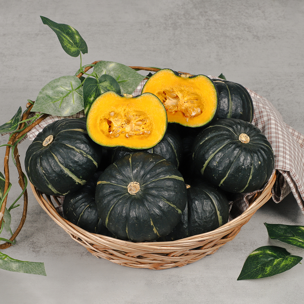 제주도 미니 밤호박 보우짱 단호박 로얄과, 5kg, 1개 - 상품 이미지
