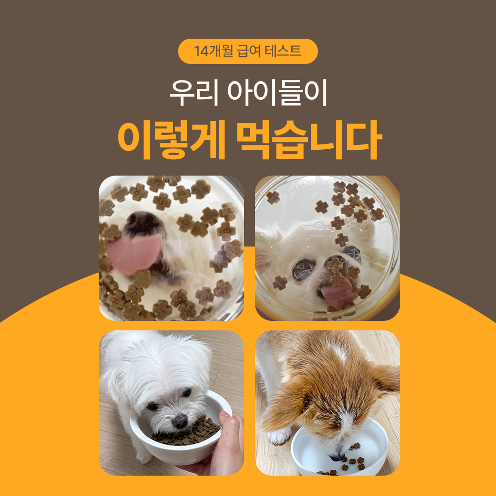 닥터바이 지중해 오븐베이크 저온 스팀 소형견 강아지 사료 시니어, 1kg, 1개 이미지 6