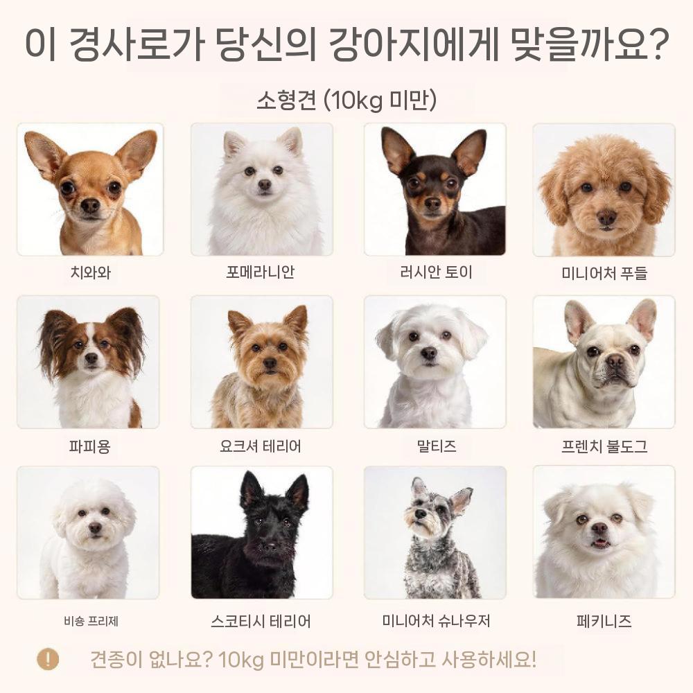 높이조절 강아지경사로 계단 미끄럼방지 논슬립 반려견 - 상세 이미지 3