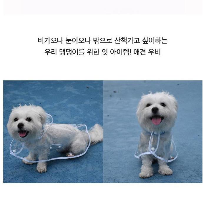 장마철 산책 강아지 비닐 우의 강아지 망토 우의 XS - 상세 이미지 3