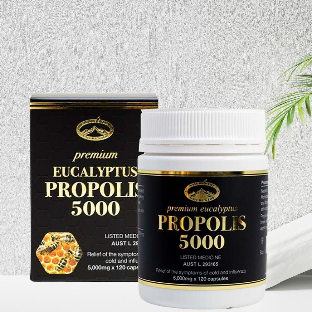 호주 네이쳐스탑 유칼립투스 프로폴리스 5000mg 120캡슐 건강보충식품 - 상세 이미지 2