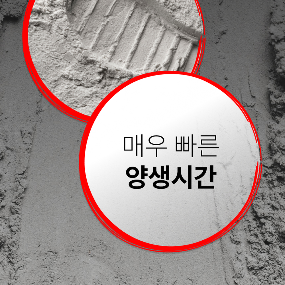 셀프보수건축자재 보수몰탈 전문가용초속경몰탈 2kg 30분경화 - 상세 이미지 2