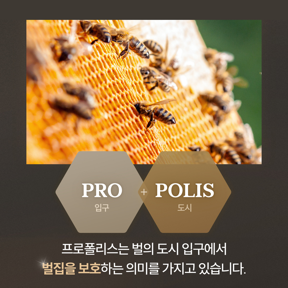 코스트코 트루블루 프로폴리스 450 호주산 프로폴리스 518mg x 450캡슐 2개 이미지 7