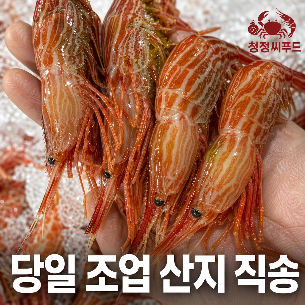 청정씨푸드 동해안 활 꽃새우 당일출고 생물 냉동 독도새우 500g - 상세 이미지 2