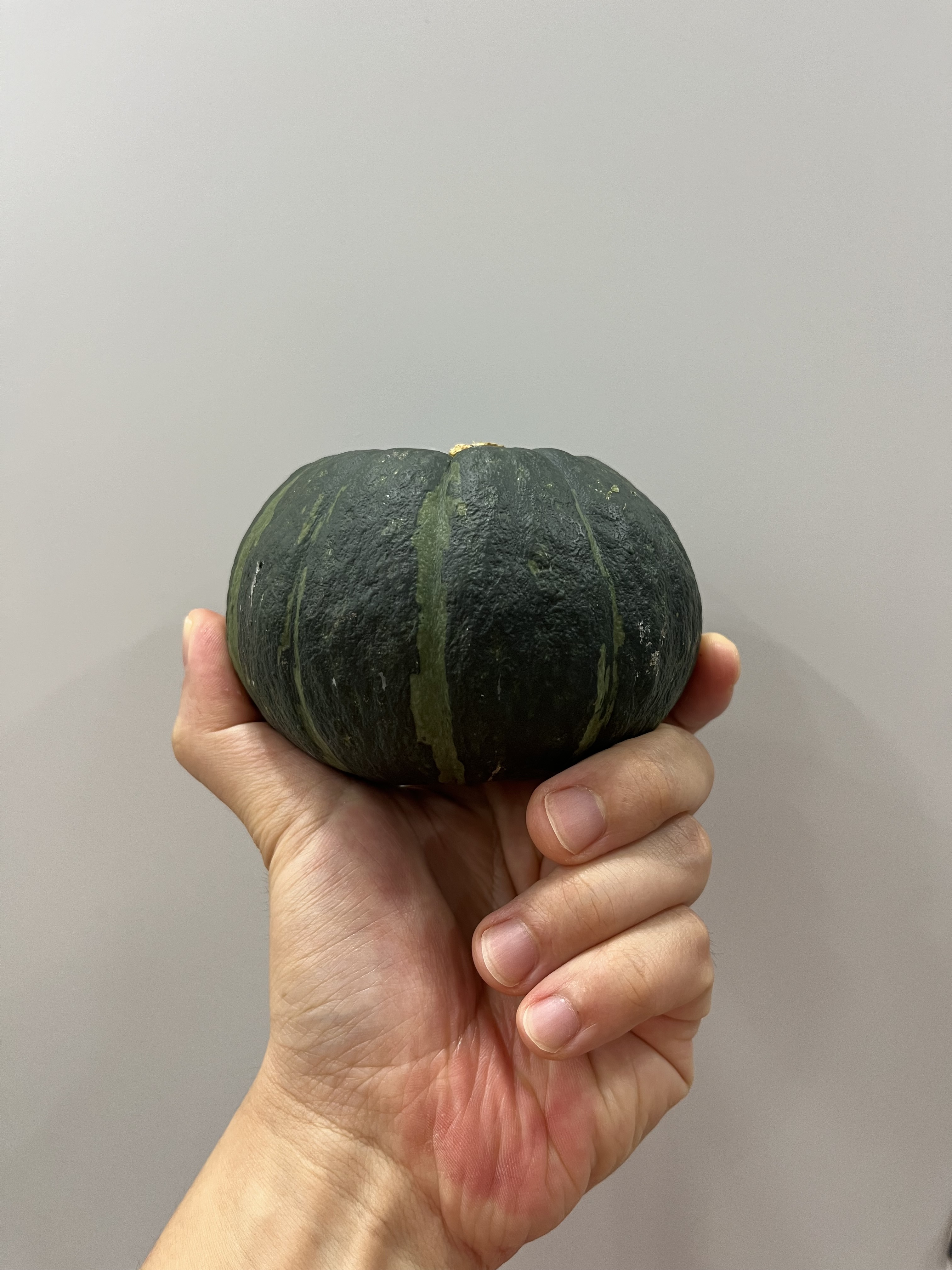 농부형제 제주 미니 보우짱 밤호박 단호박 3kg 5kg - 상품 이미지