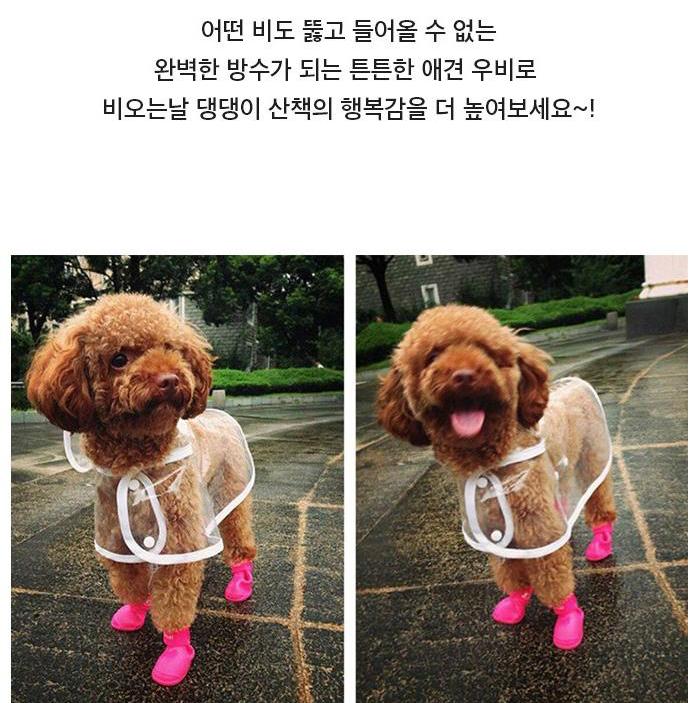 장마철 산책 강아지 비닐 우의 강아지 망토 우의 XS 이미지 6