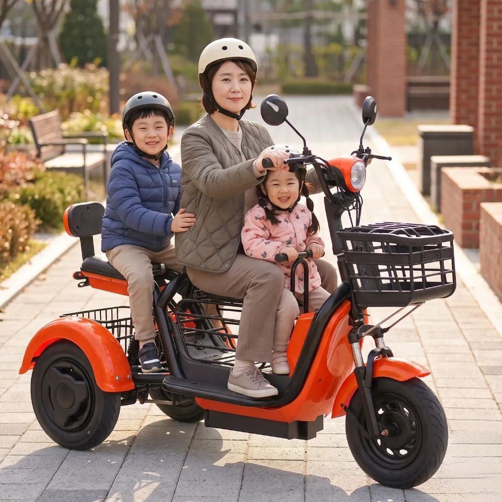 토르벡스 세발 전동 스쿠터 전기자전거 삼륜 800W 15A 리튬 약30km 3인용 그레이