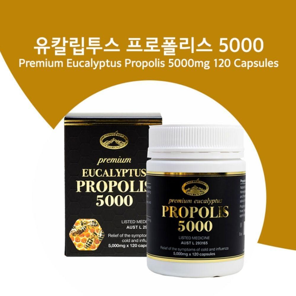호주 네이쳐스탑 유칼립투스 프로폴리스 5000mg 120캡슐 건강보충식품 - 상세 이미지 4