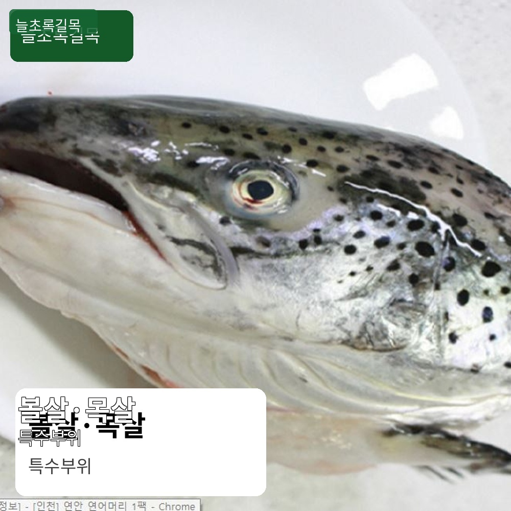노르웨이 연어머리 500g 구이 조림용 냉동 연어 특수부위 - 상세 이미지 4