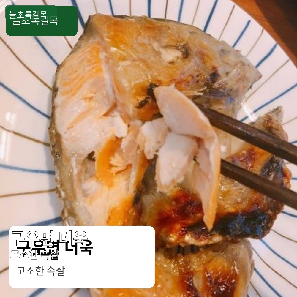 노르웨이 연어머리 500g 구이 조림용 냉동 연어 특수부위 - 상세 이미지 5