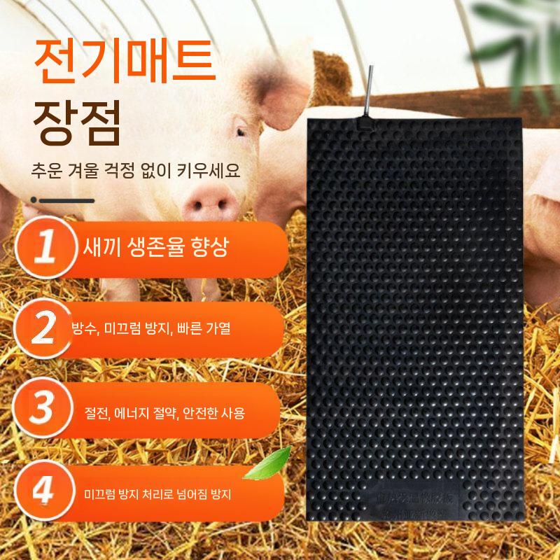 난방 판넬 열선 단열시트 새끼돼지 온도조절 축사 농장 55x100CM 일반 스위치 - 상세 이미지 4