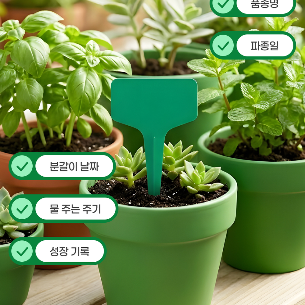 텃밭가꾸기식물이름표 재배기록원예용화분네임택 파종일기정원가꾸기식물네임카드 100p - 상세 이미지 5