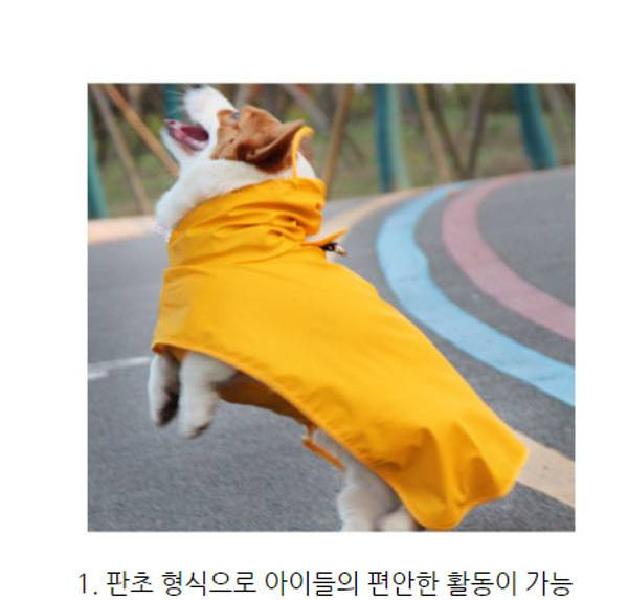 대형견 강아지 우비 강아지 망토 우비 반려견 옷 4XL 이미지 7