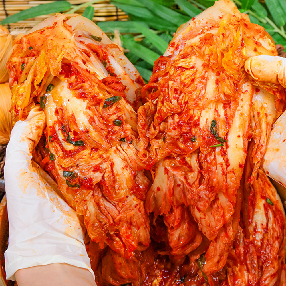 갓 담은 전라도 포기 배추김치 5kg, 1개 - 상품 이미지