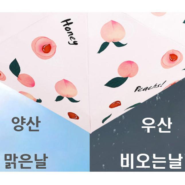 미니 귀여운 암막 우산 귀여운 양우산 과일 귀여운 우양산 - 상세 이미지 5