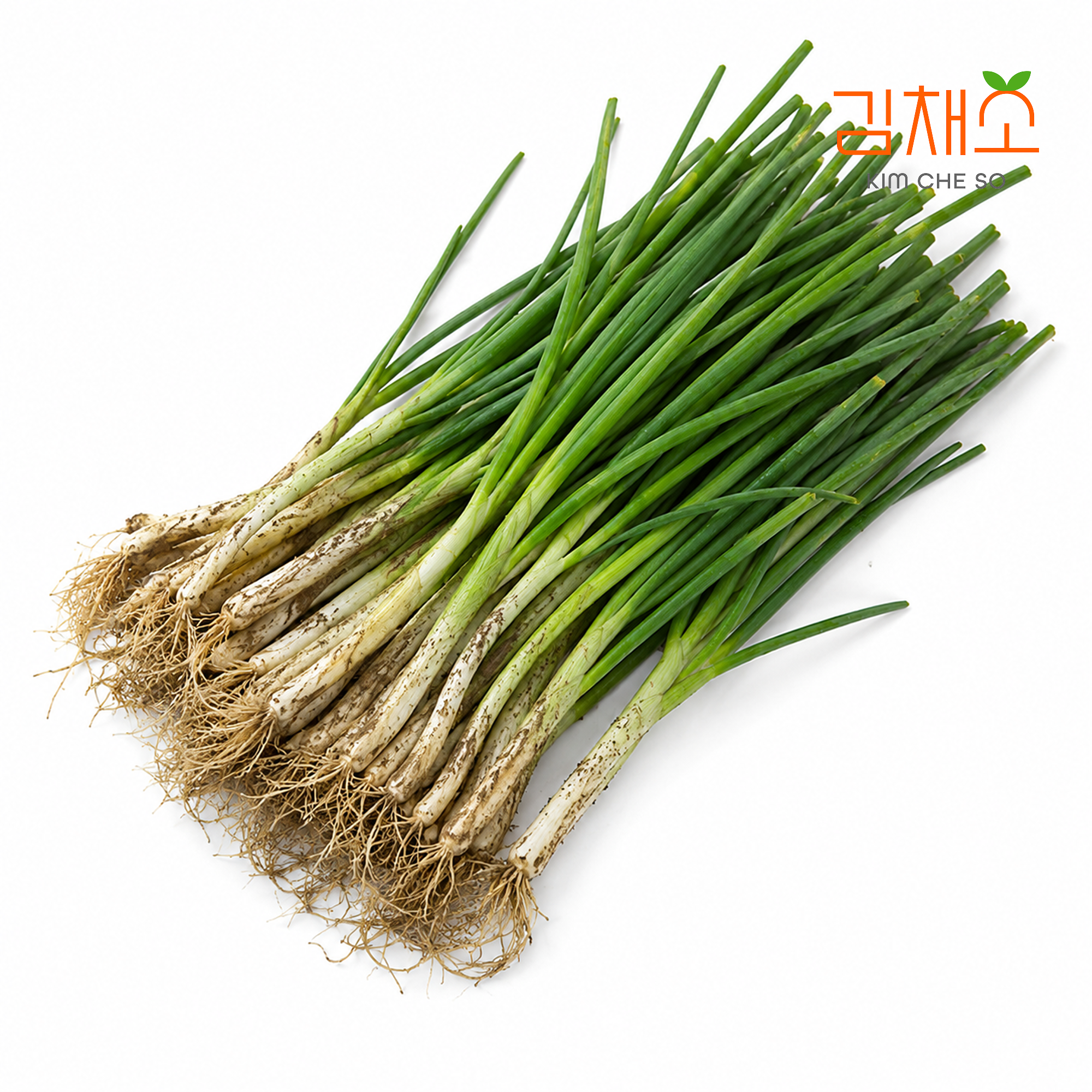 김채소 산지직송 흙쪽파 1.2kg, 2개 - 상품 이미지