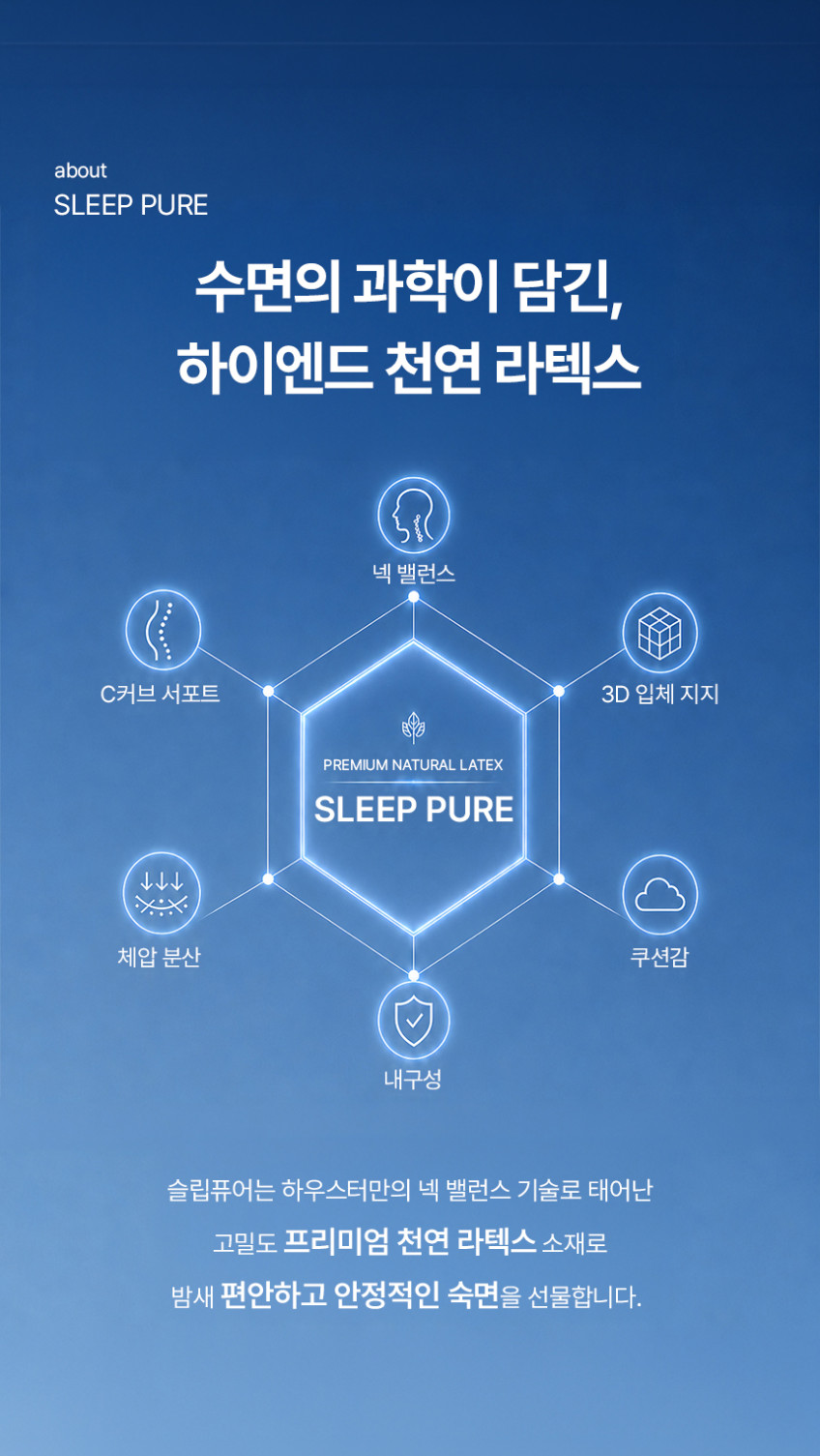 하우스터 경추베개 낮은 수면 거북목 일자목 목디스크 편한 베개 소형 화이트 판매처 상세 정보 이미지 4