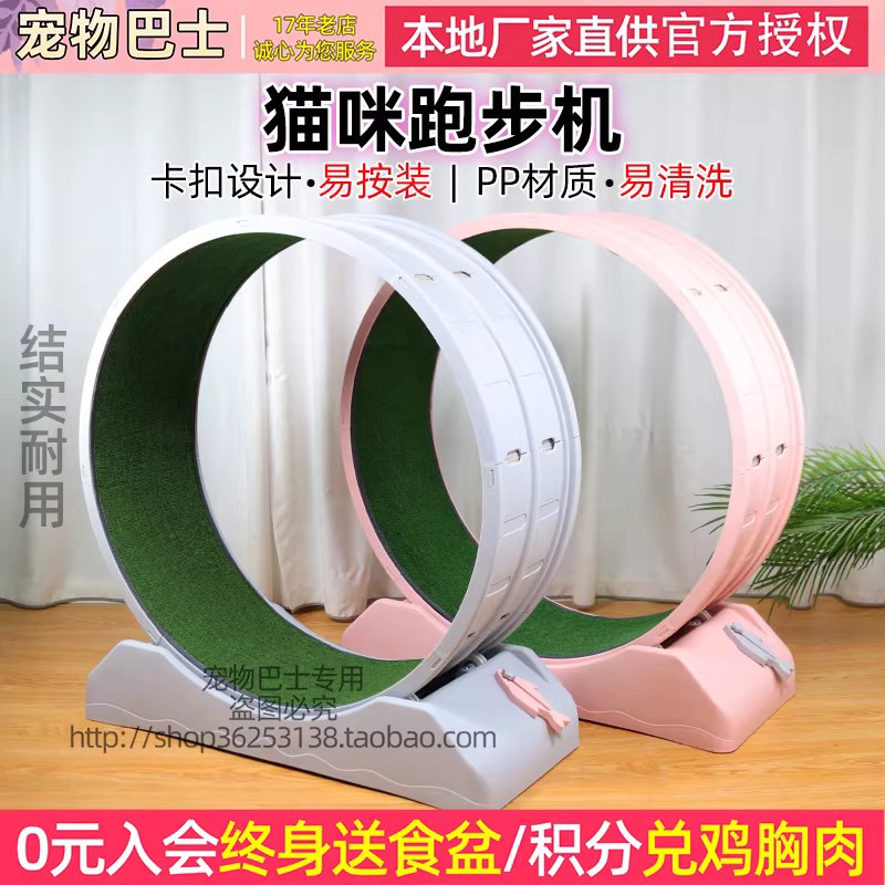 고양이 캣휠 반려묘 운동기구 실내 용품 캣워커 공간절약형 80cm PP - 상세 이미지 2