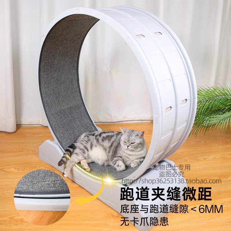 고양이 캣휠 반려묘 운동기구 실내 용품 캣워커 공간절약형 80cm PP - 상세 이미지 4