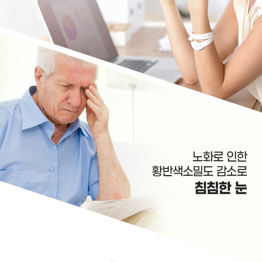 루테인 지아잔틴 눈건강 3통 9개월분 미니 캡슐 LUTEIN 마리골드꽃추출물 - 상세 이미지 4