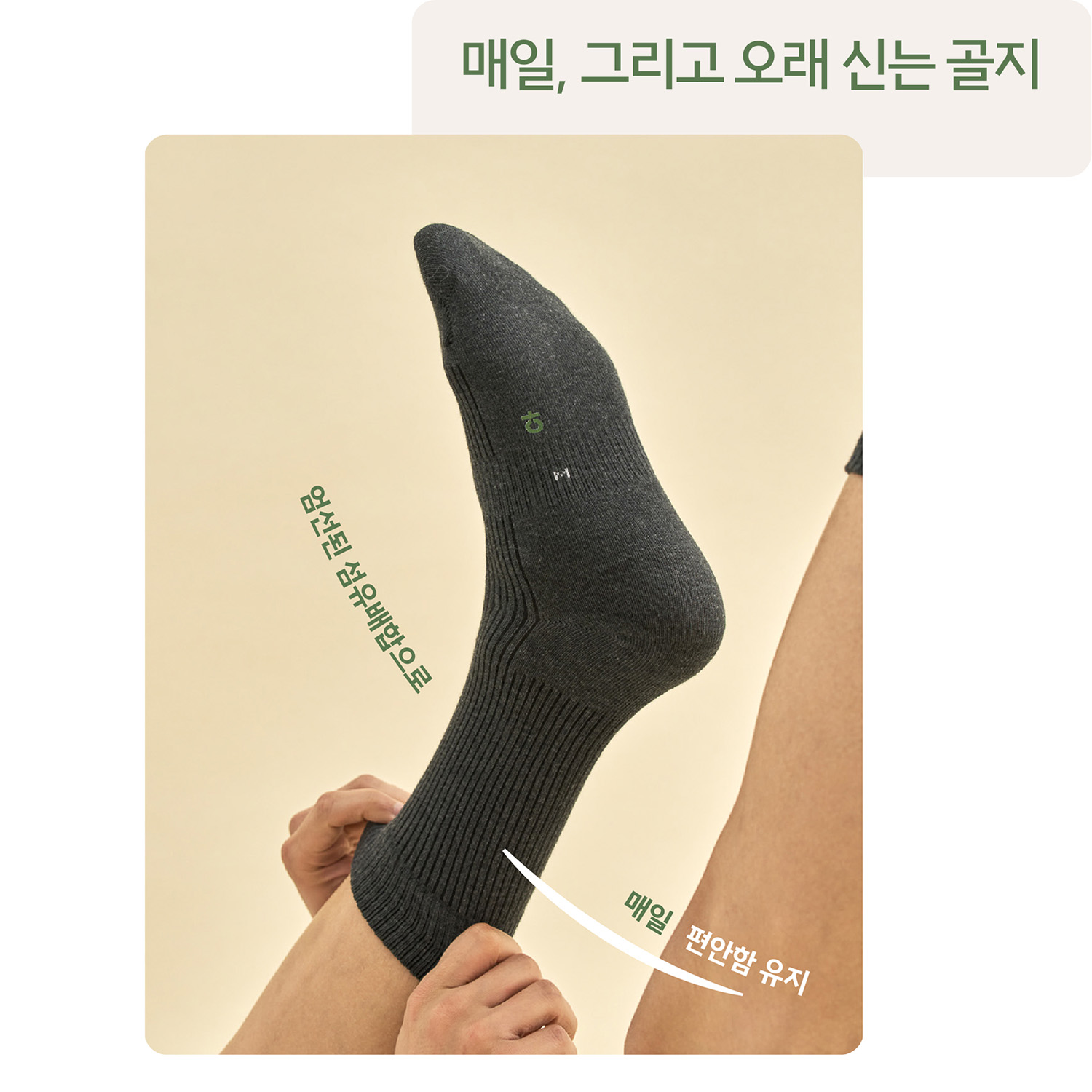 청산양말 골지 장목 무봉제 면 6켤레 선물세트 사이즈 S M L 국산 - 상세 이미지 4