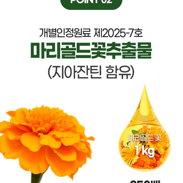 루테인 지아잔틴 눈건강 3통 9개월분 미니 캡슐 LUTEIN 마리골드꽃추출물 이미지 6