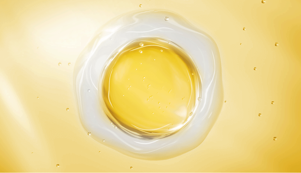 sungboon editor collagen cleansing foam