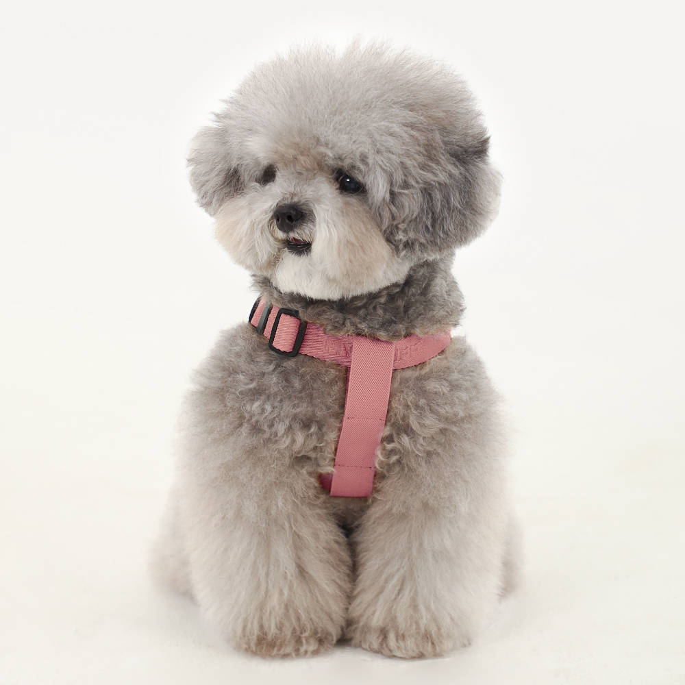 강아지 하네스 가슴줄 충격방지 마이플러피 노터치밴드 이미지 7