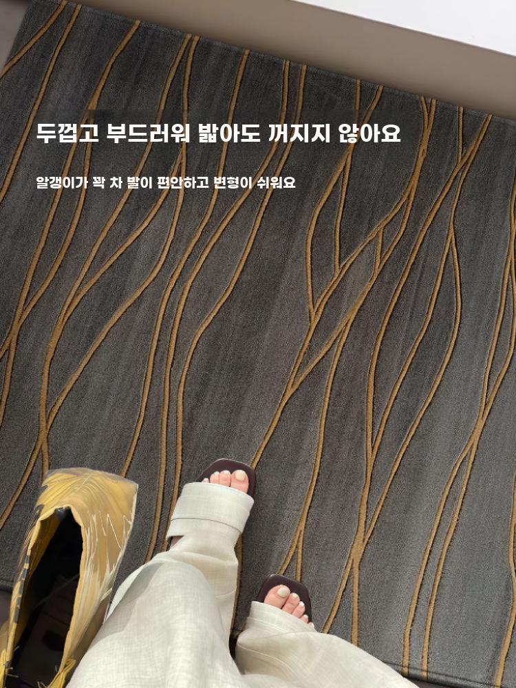 카페트 러그 발매트 바닥 드레스룸 인테리어매트 B-23207 80x120CM - 상세 이미지 4