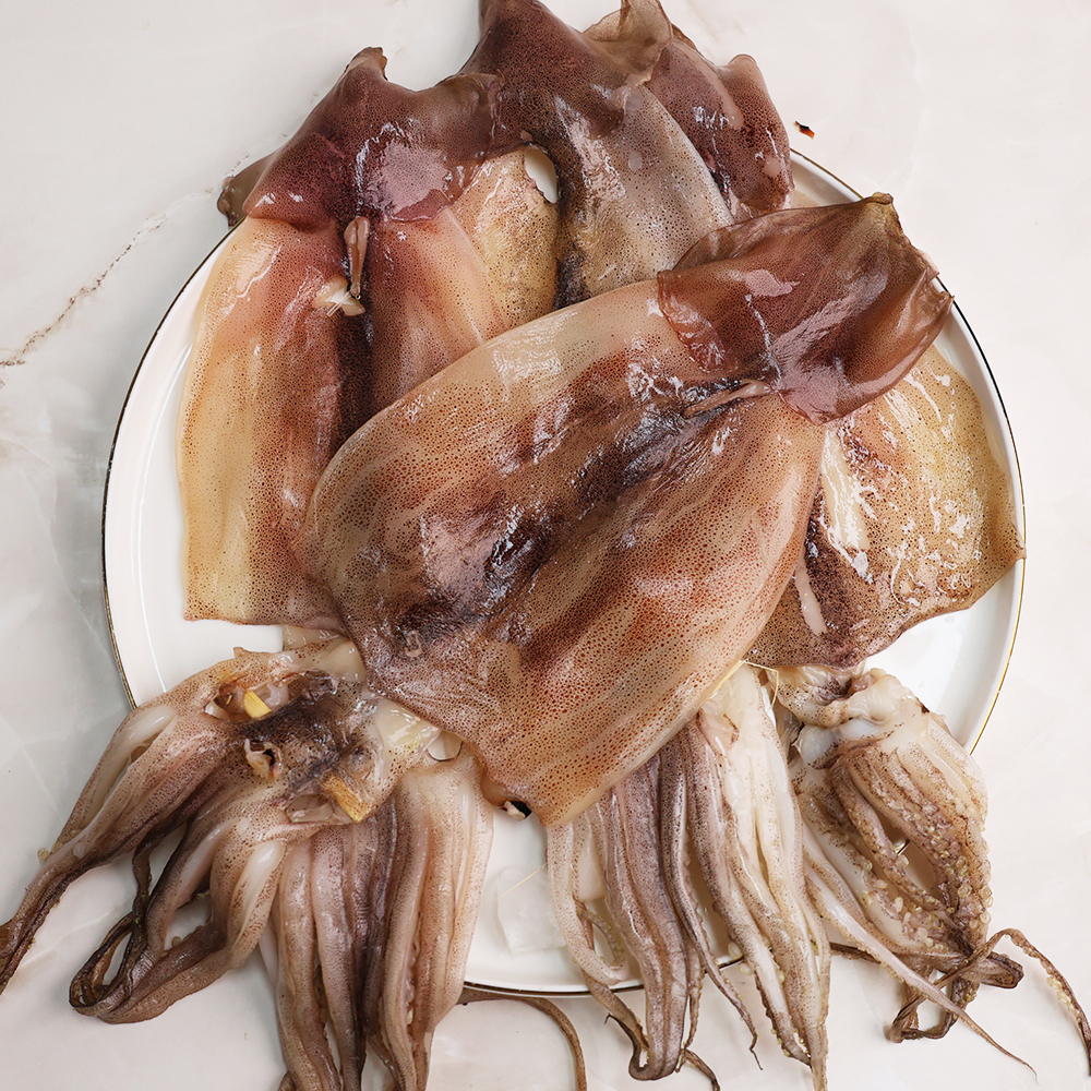 [오늘신선] 국내 해풍건조 피데기 반건조 오징어 450g~1.3kg 5미 10미 이미지 8