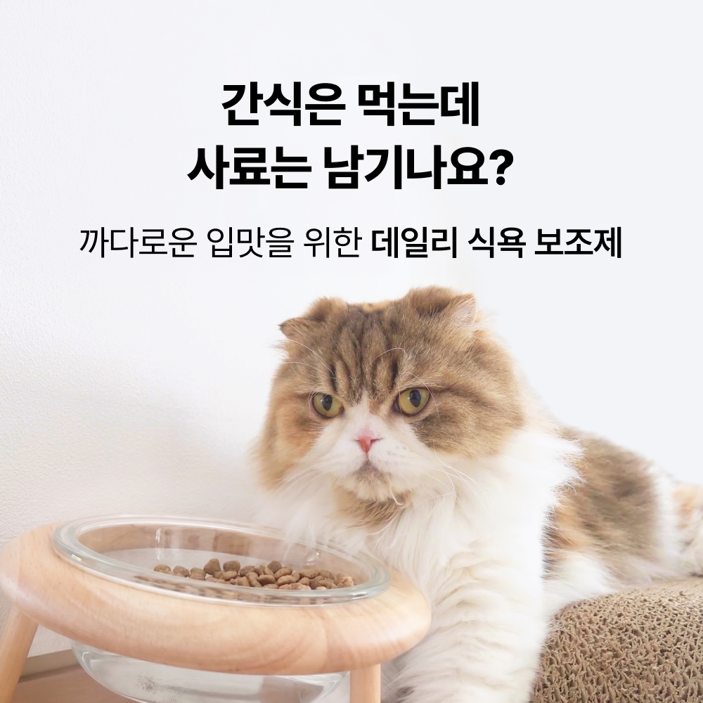 야옹섬 고양이 영양제 식욕 증진 보조제 에피타이트 항산화 항노화 2개월 - 상세 이미지 2
