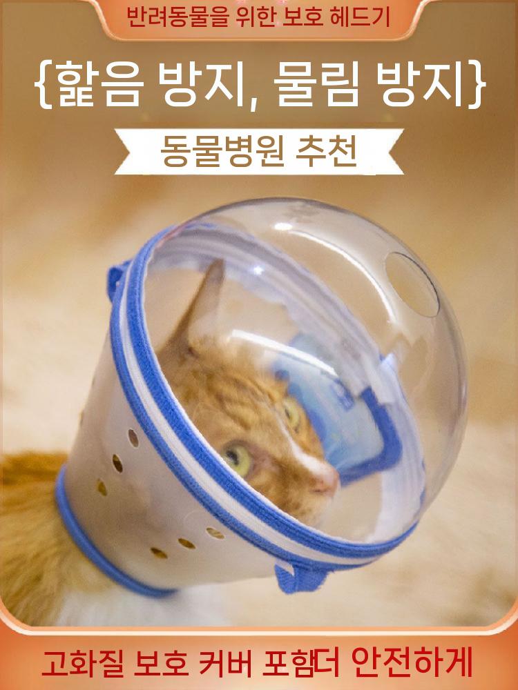 고양이 투명 넥카라 머리커버 입마개 헬멧 보호캡 S - 상세 이미지 2