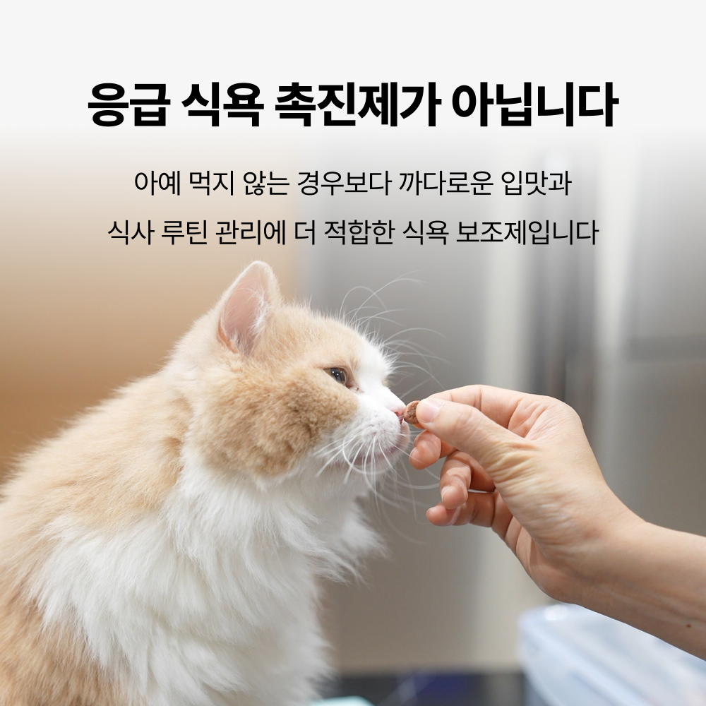 야옹섬 고양이 영양제 식욕 증진 보조제 에피타이트 항산화 항노화 2개월 - 상세 이미지 5
