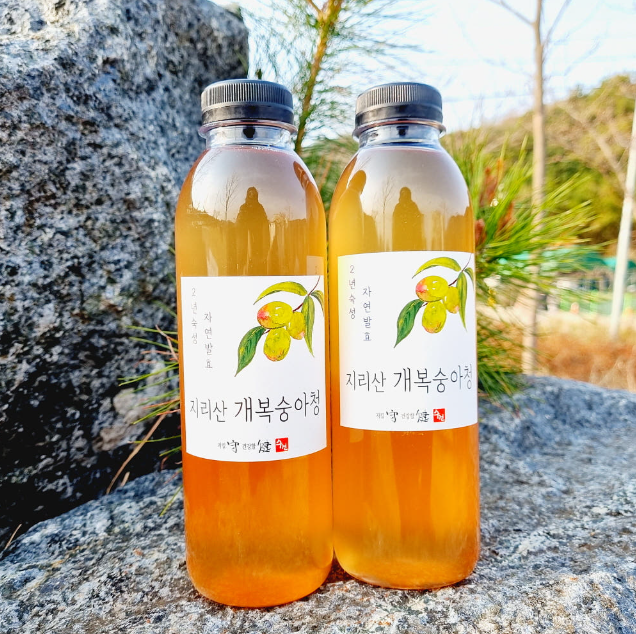 지리산 개복숭아 청 효소 500+500ml(2병) 돌복숭아 엑기스 발효액 원액 진액 - 상품 이미지