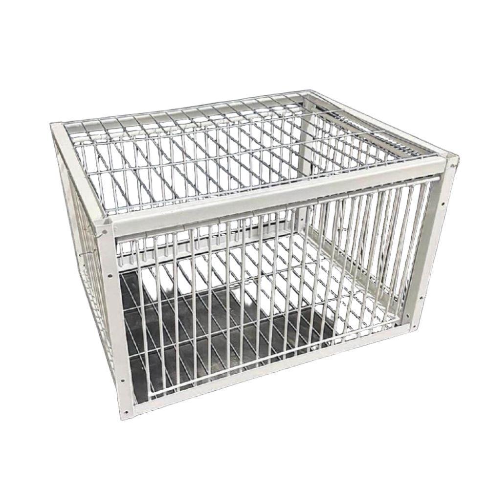 비둘기 포획틀 포획 덫 철제 케이지 농작물 보호 유해야생조류 40x30x26cm - 상품 이미지