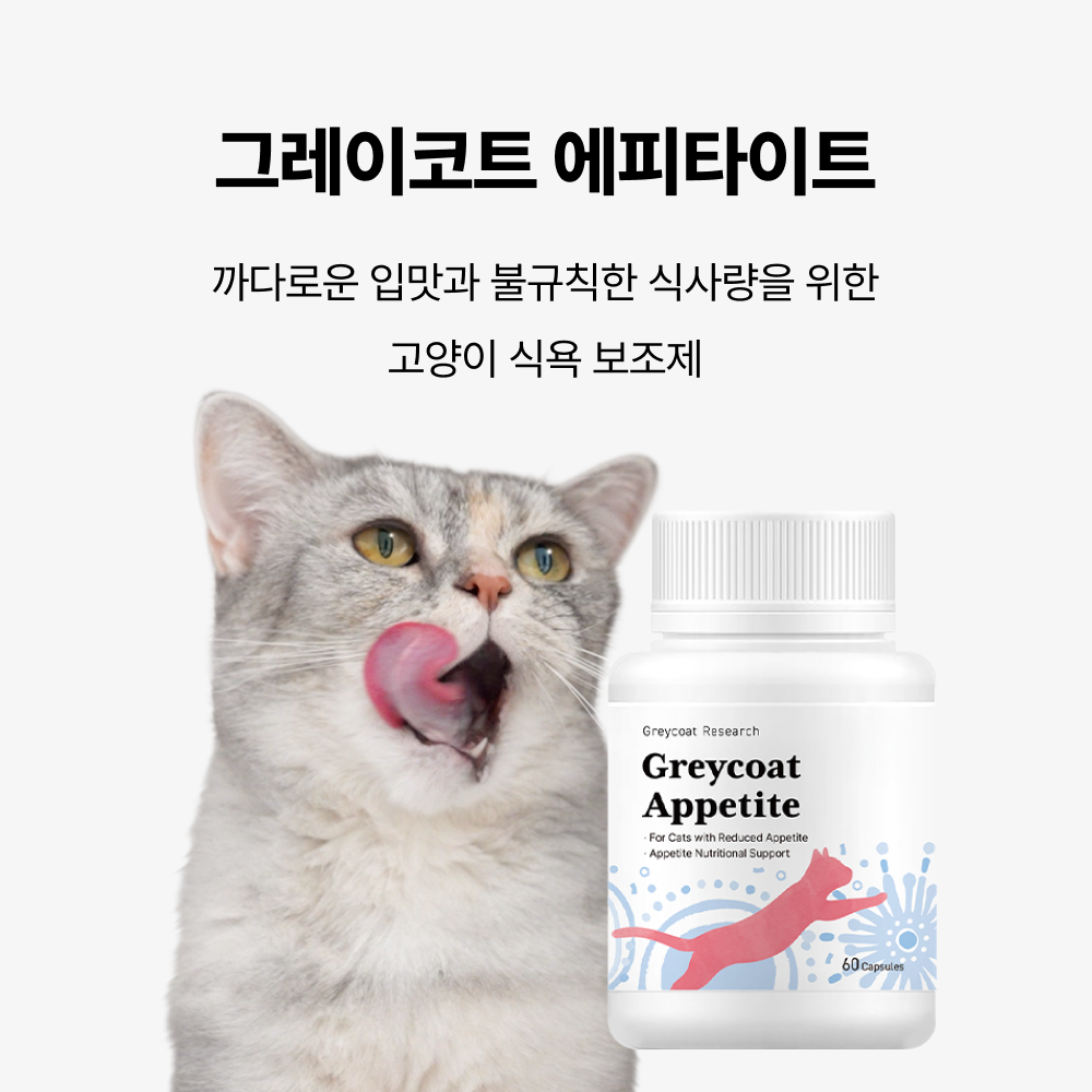 야옹섬 고양이 영양제 식욕 증진 보조제 에피타이트 항산화 항노화 2개월 - 상세 이미지 3
