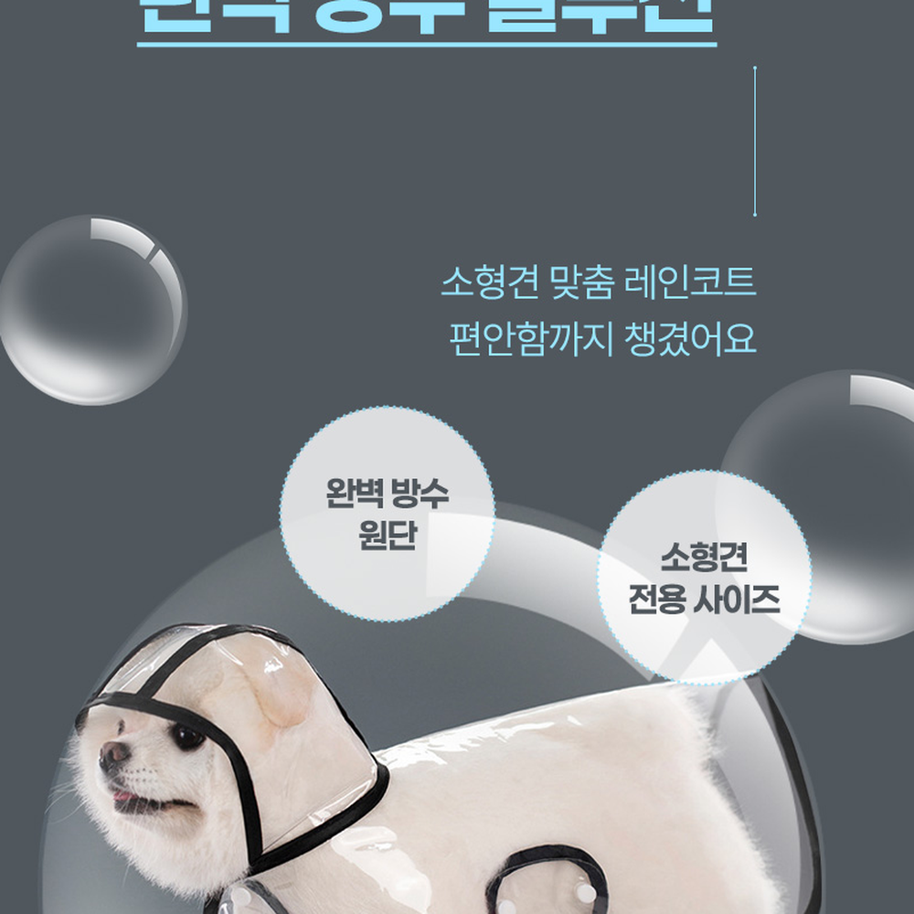 망토디자인비오는날애견레인웨어 소형견맞춤산책용강아지레인코트 통기성원단외출용반려견우비 XS - 상세 이미지 4