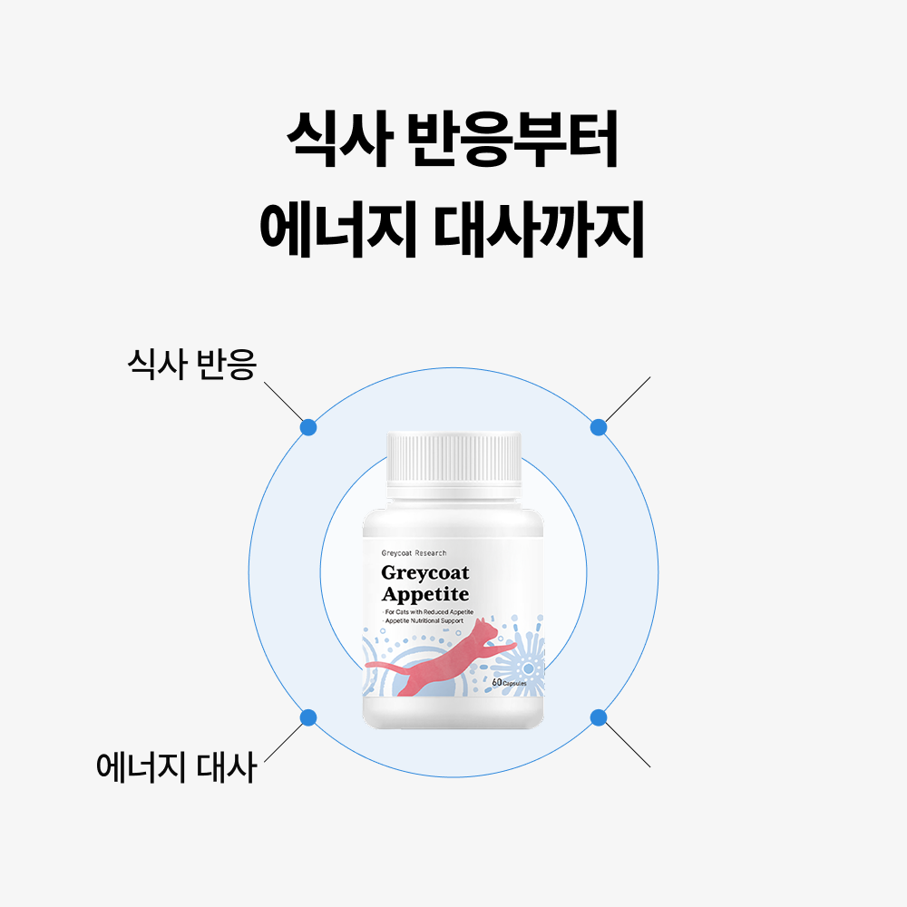 야옹섬 고양이 영양제 식욕 증진 보조제 에피타이트 항산화 항노화 2개월 이미지 7