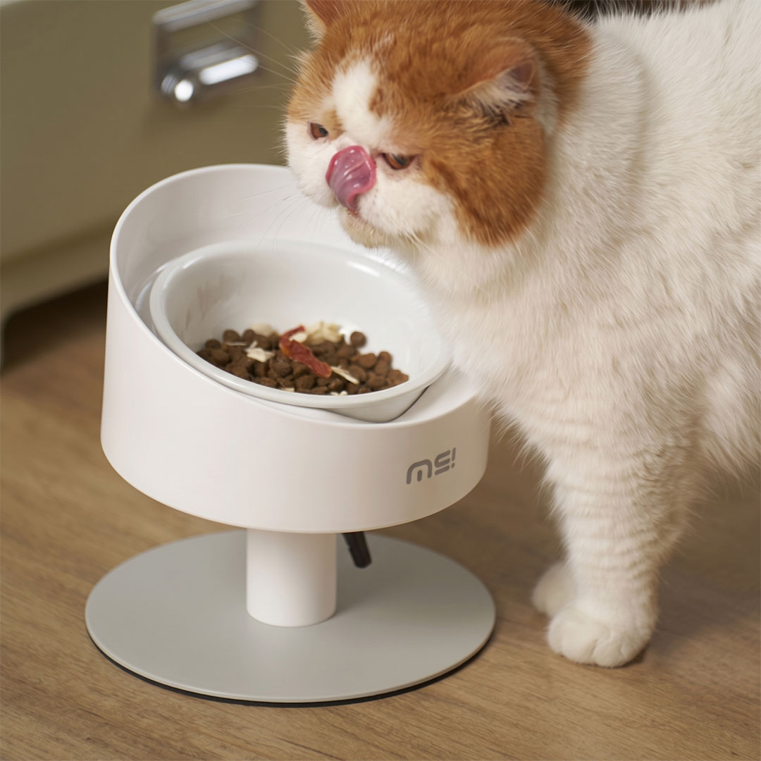 MIAMIA 높이조절 고양이 밥그릇 강아지 식기 도자기 이미지 6