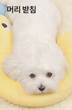 반려동물 물음표 펫필로우 강아지 고양이 목받침 쿠션 애견 베개 침대 편안한 숙면 - 상세 이미지 5