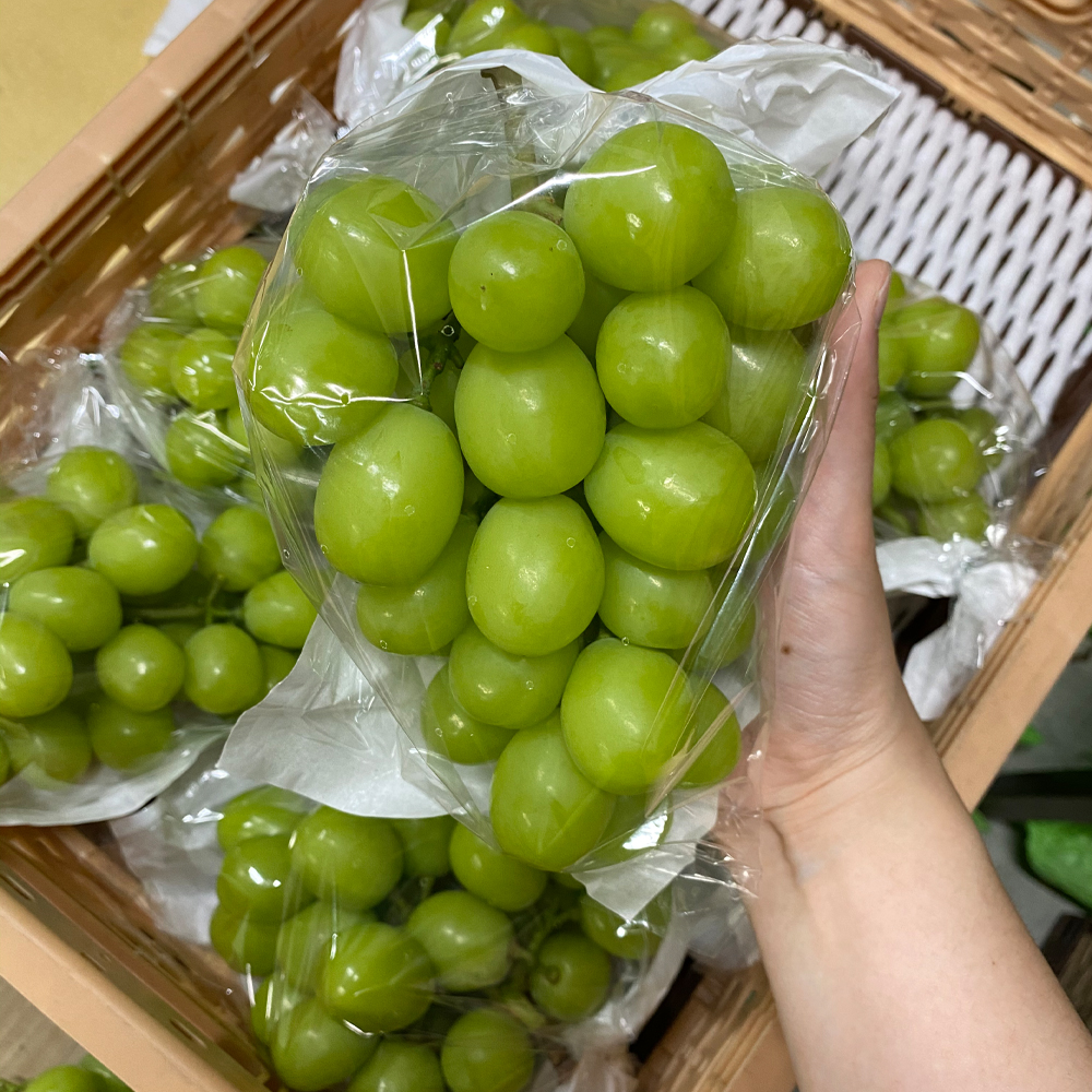 (당도선별) 국내산 샤인머스켓 고당도 제철 생과 선물용 500g 1kg 2kg - 상품 이미지