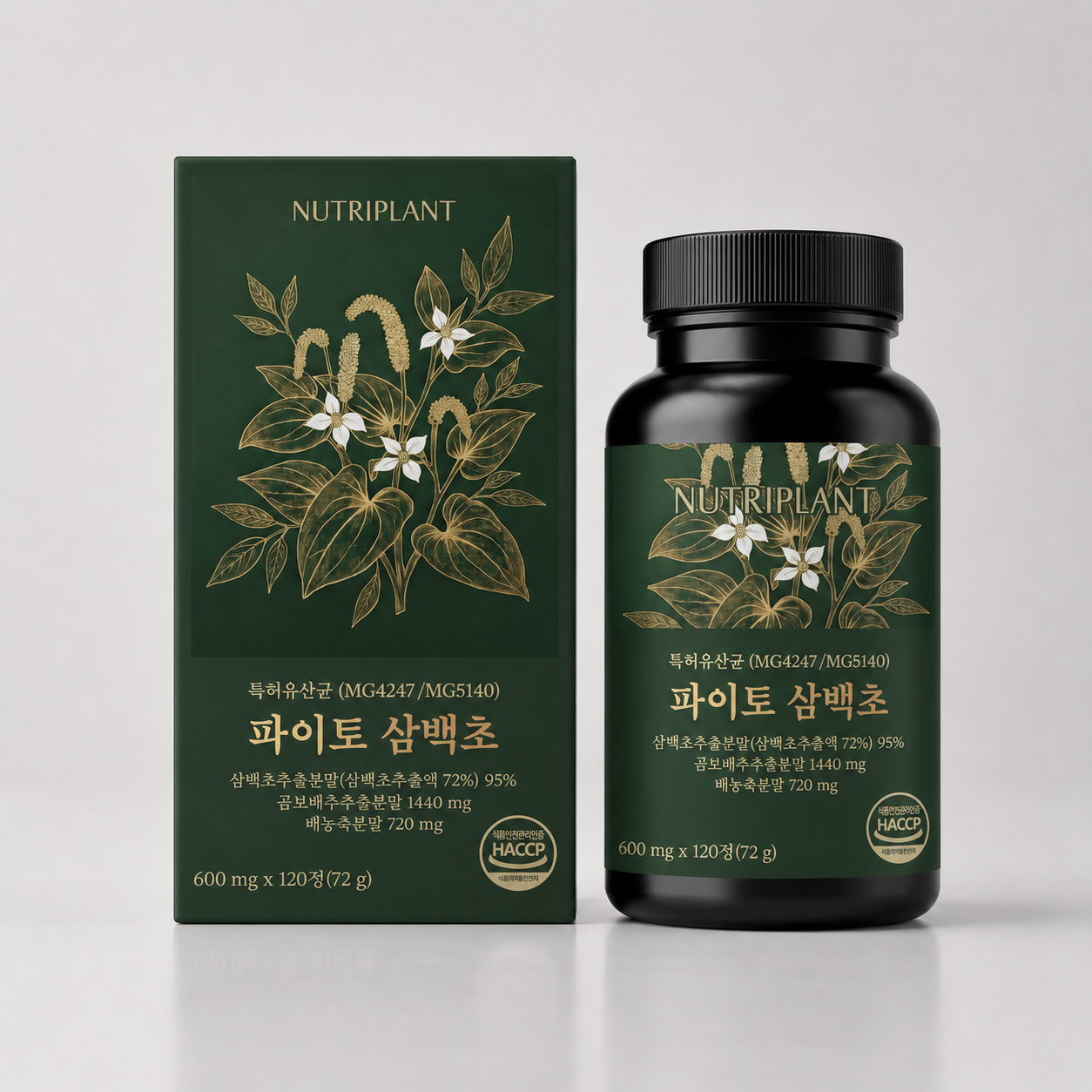 뉴트리플랜트 파이토 삼백초 추출물 특허 HACCP 인증 곰보배추 배농축액 120정, 2개 - 상품 이미지