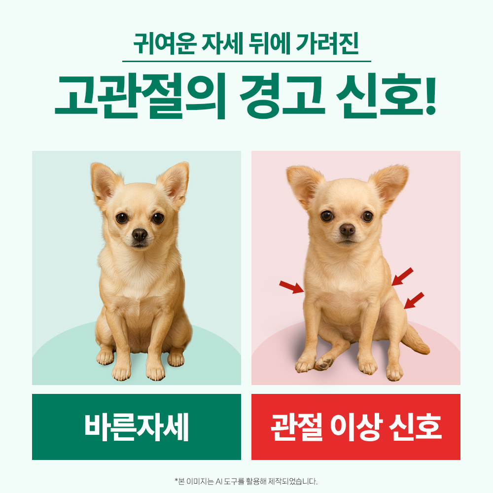 닥터바이 강아지 관절 영양제 슬개골 탈구 무릎 고관절 케어 절뚝거림 힙앤조인트스위프트, 120캡슐, 1개 상품 이미지