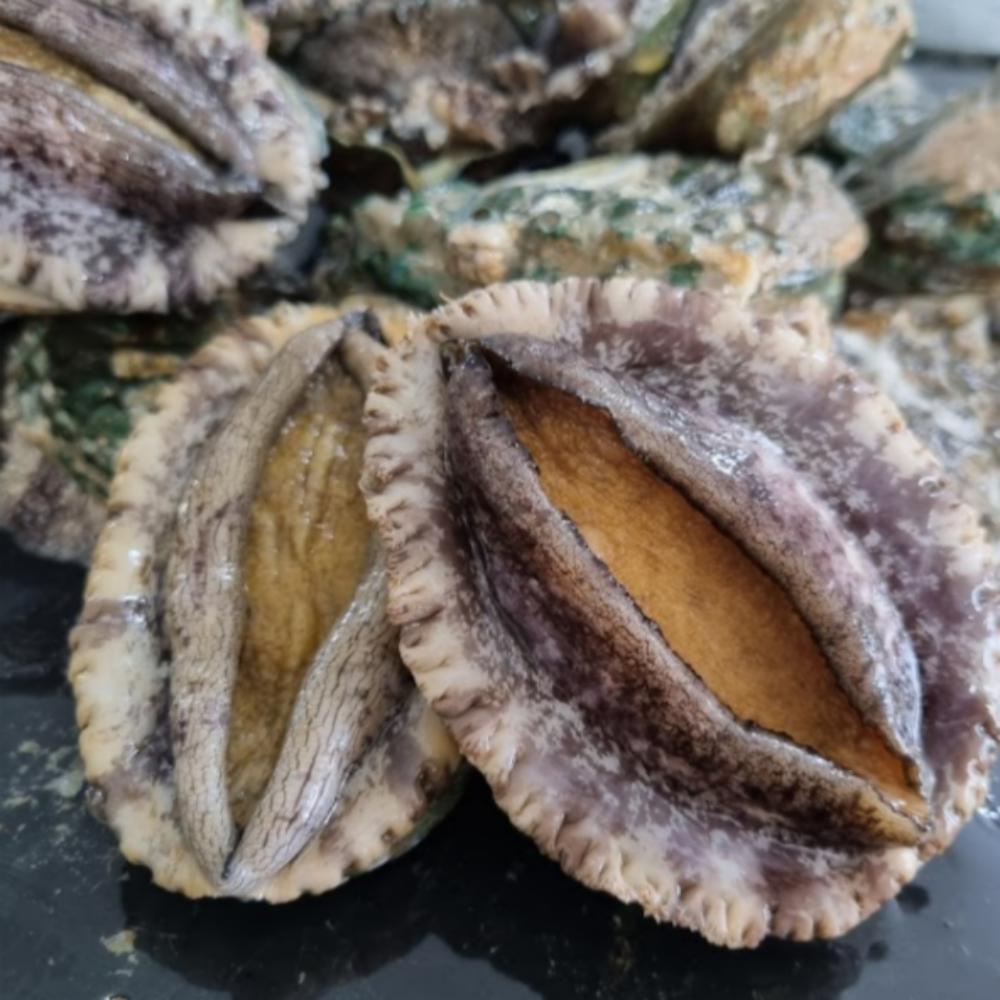 완도산 활 전복 신선하게 산지직송 중, 1kg, 1개 - 상품 이미지